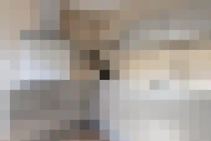 Missielaan 30 Uden thumbnail 8
