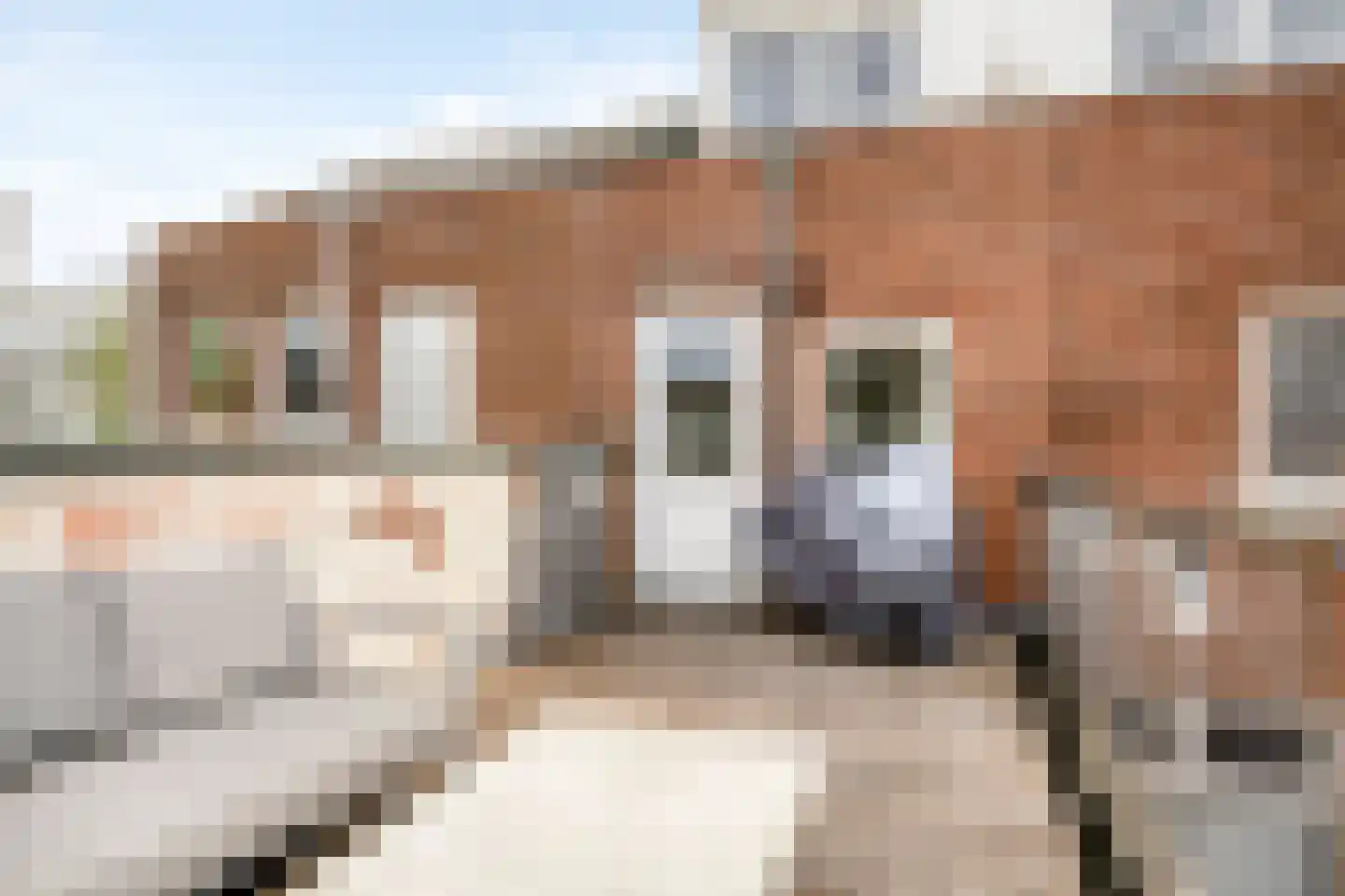 Missionarisstraat 5 Tilburg thumbnail 31
