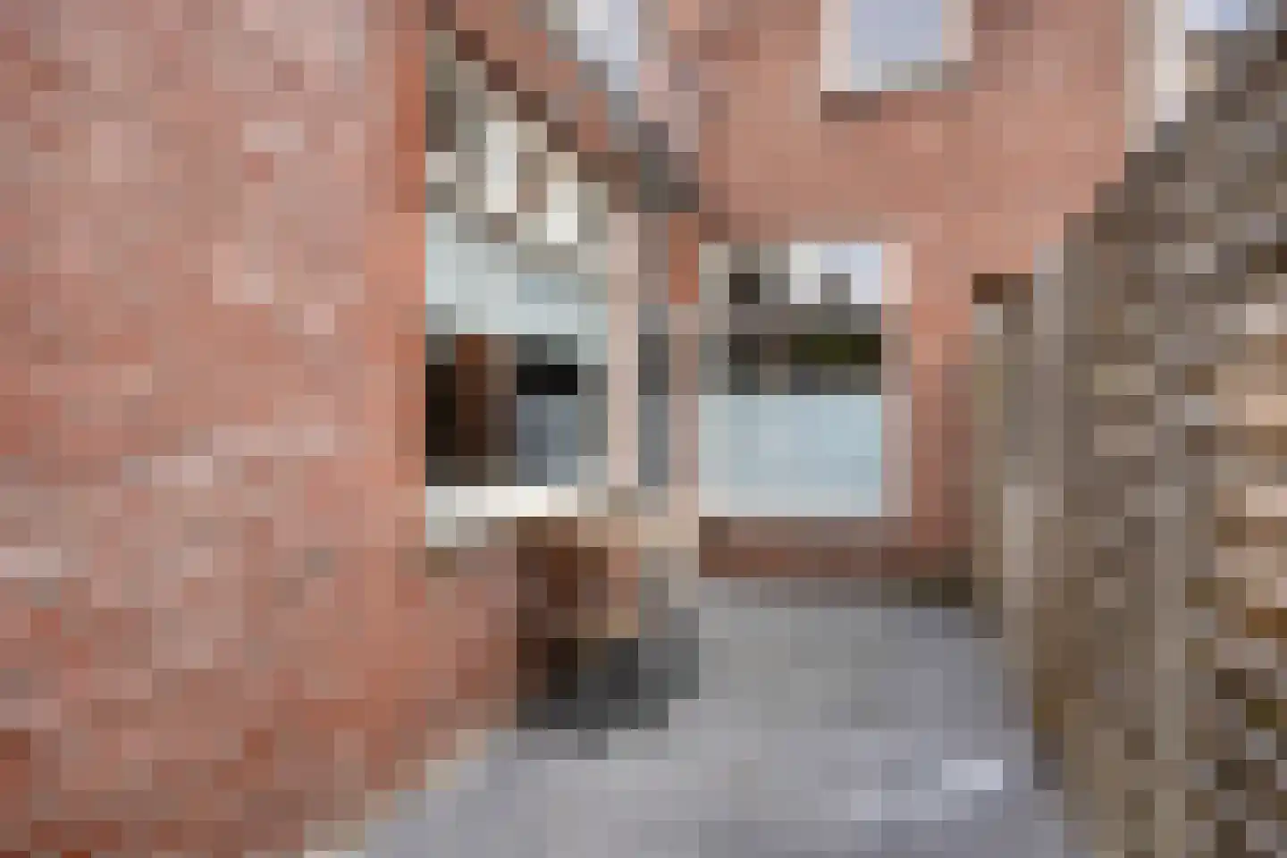 Missionarisstraat 5 Tilburg thumbnail 37