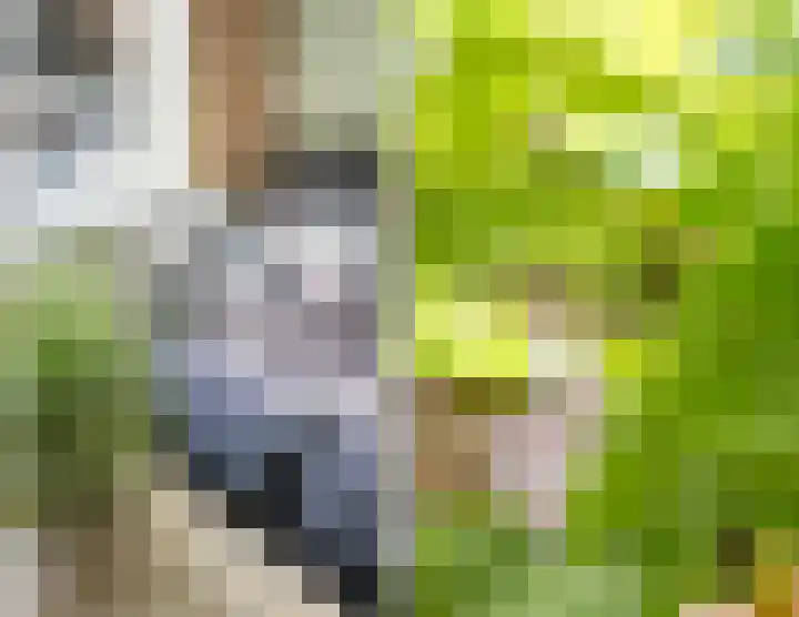 Missionarisstraat 60 Tilburg thumbnail 5