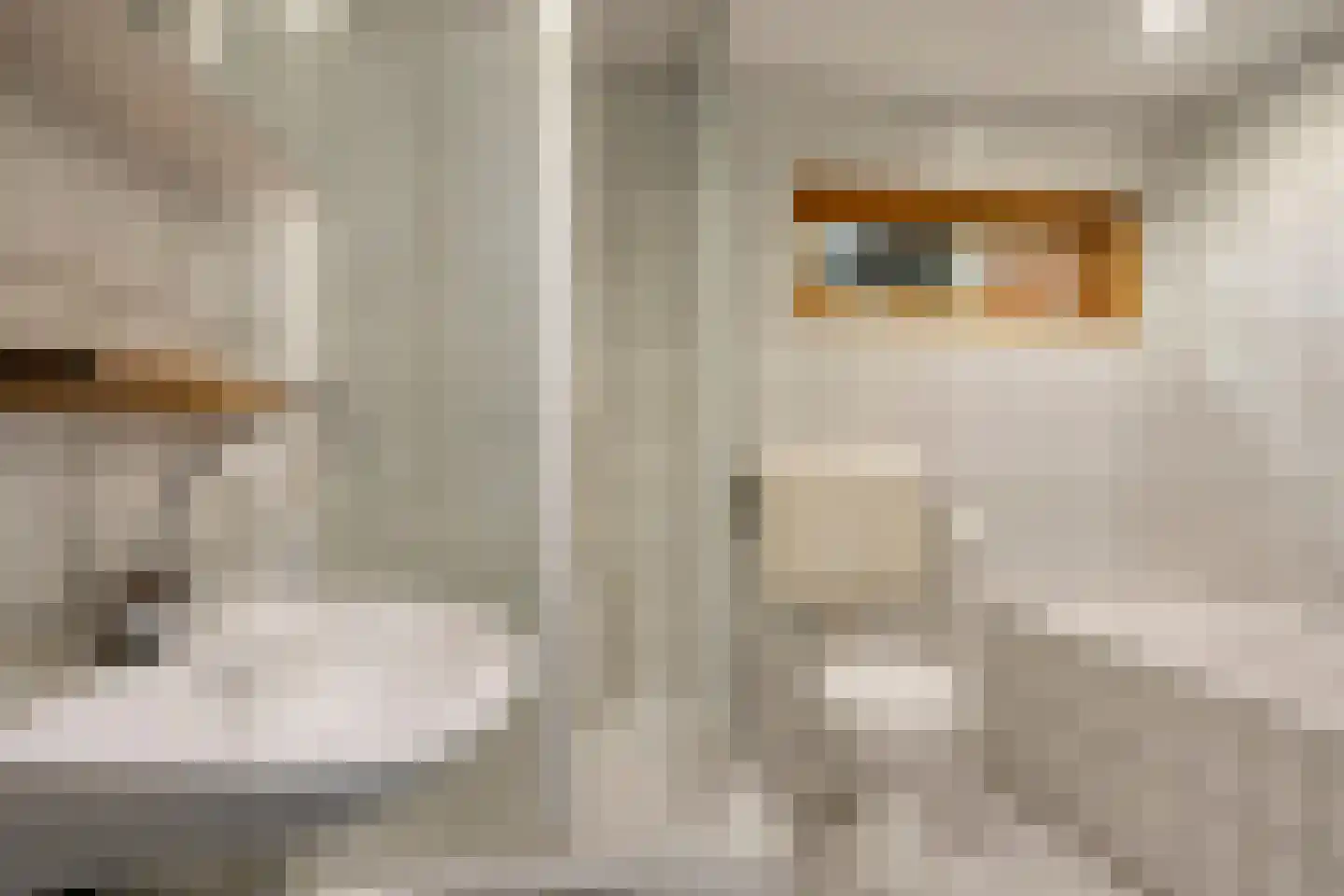 Missionarisstraat 9 Tilburg thumbnail 8
