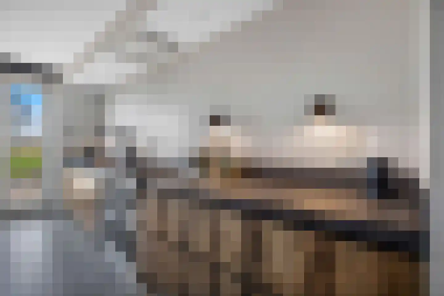 Mississippi 10 Nieuwerkerk aan den IJssel thumbnail 14