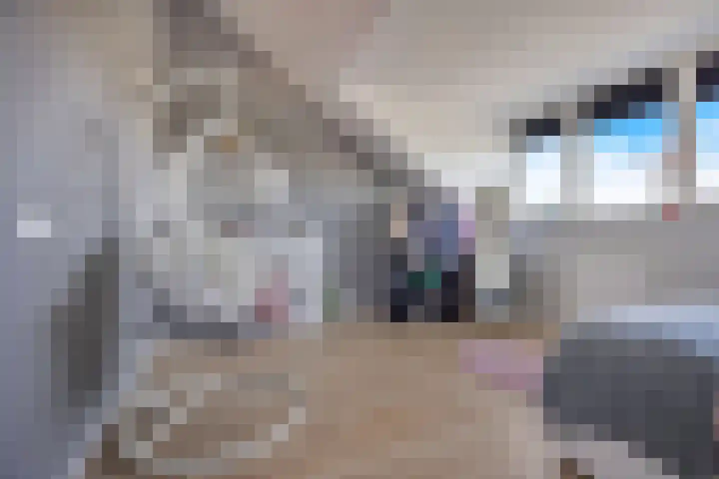 Mississippi 10 Nieuwerkerk aan den IJssel thumbnail 29