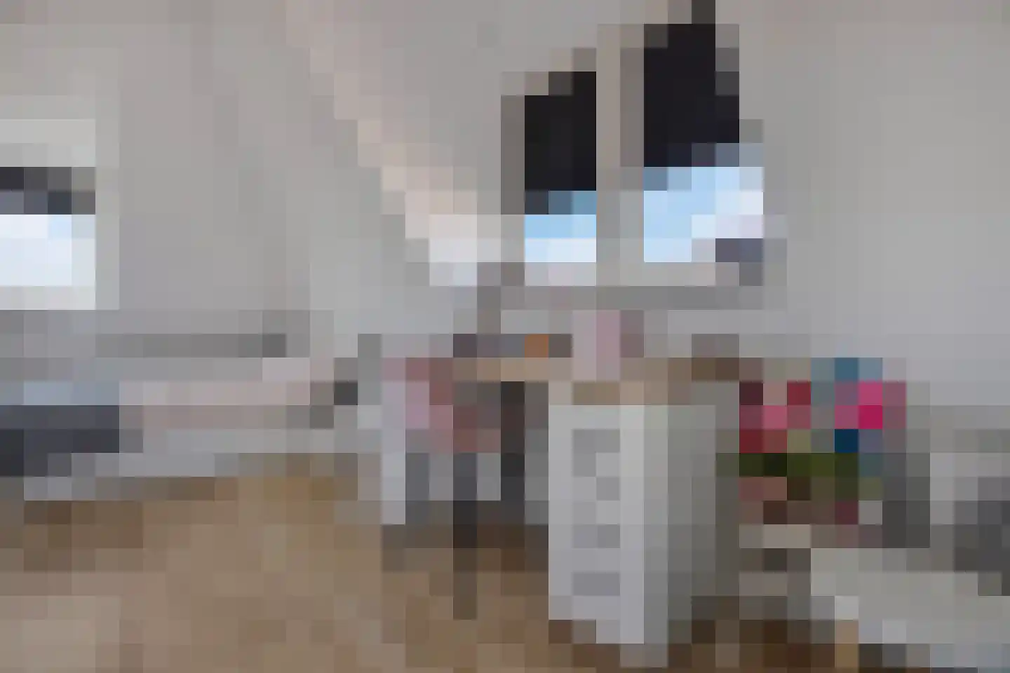 Mississippi 10 Nieuwerkerk aan den IJssel thumbnail 30