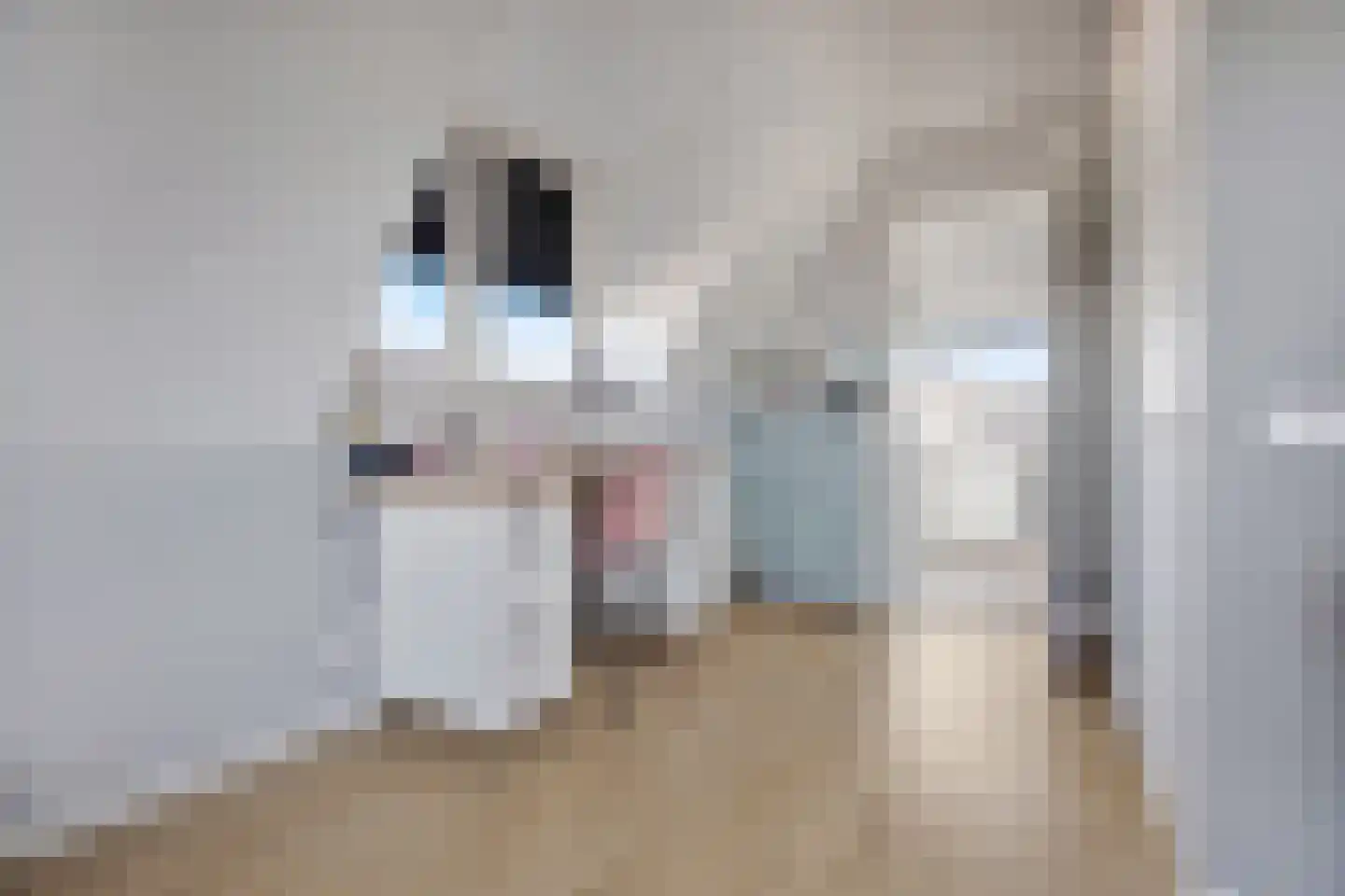 Mississippi 10 Nieuwerkerk aan den IJssel thumbnail 31