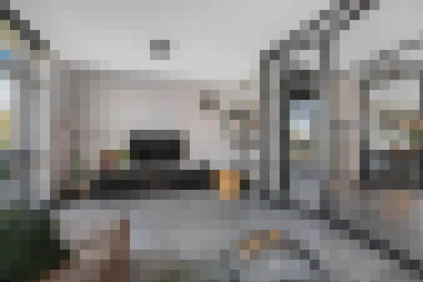 Mississippi 10 Nieuwerkerk aan den IJssel thumbnail 8