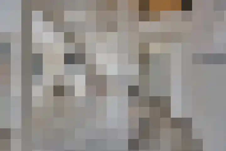 Mississippistraat 17 Purmerend thumbnail 13