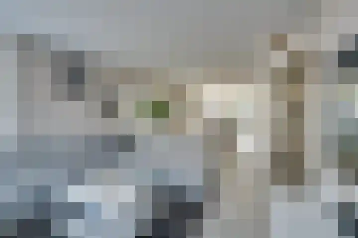 Mississippistraat 17 Purmerend thumbnail 18
