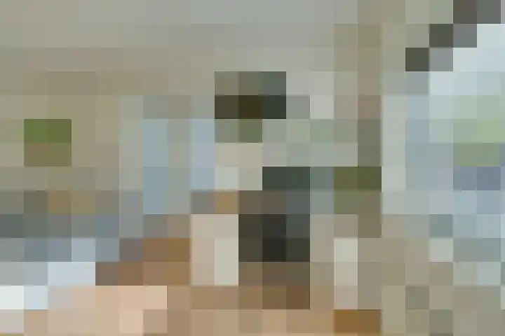 Mississippistraat 17 Purmerend thumbnail 36