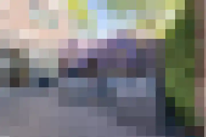 Mississippistraat 17 Purmerend thumbnail 5
