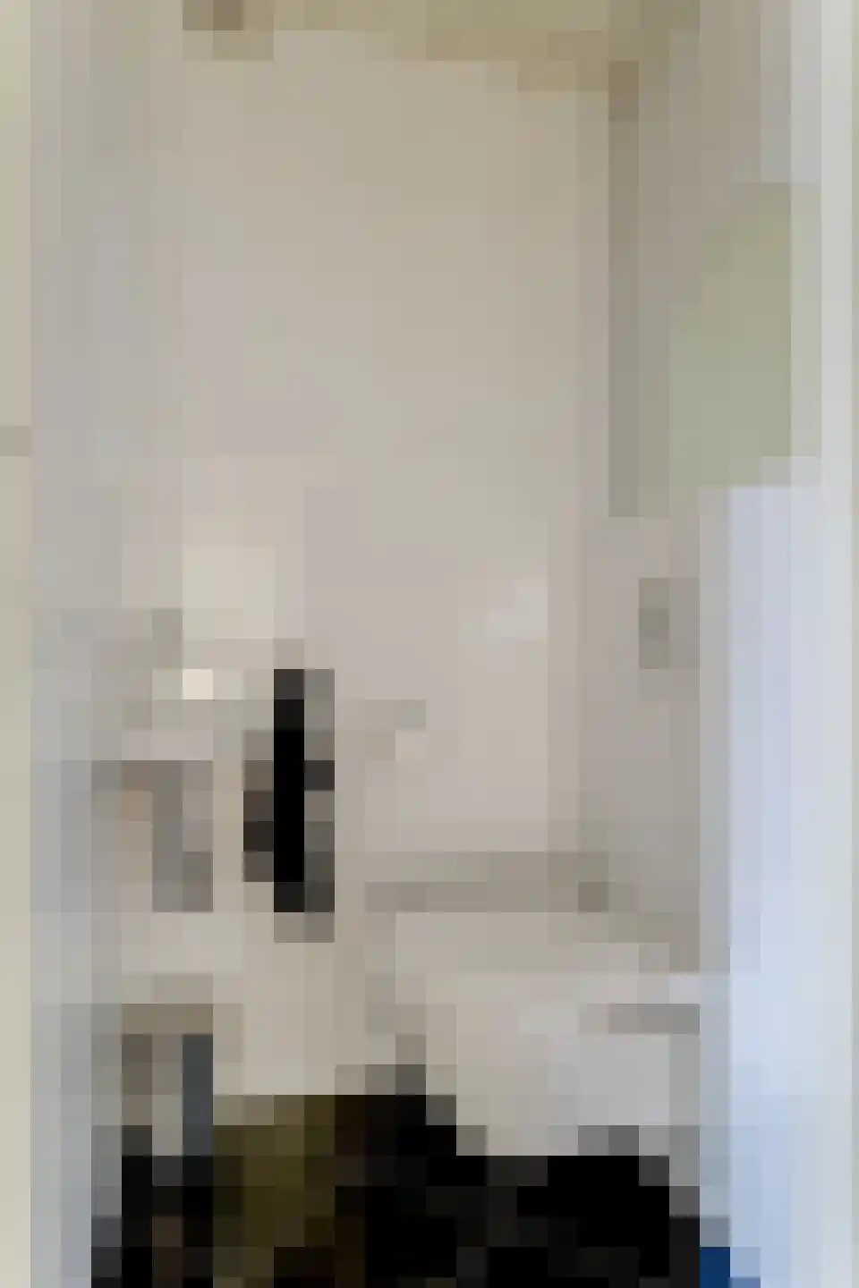 Mississippistraat 170 Purmerend thumbnail 35