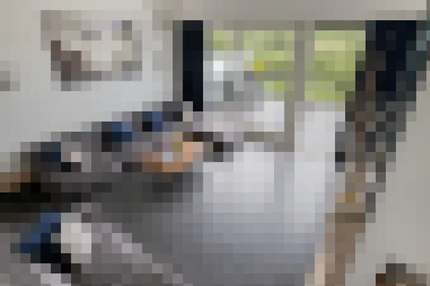 Mississippistraat 30 Purmerend thumbnail 18
