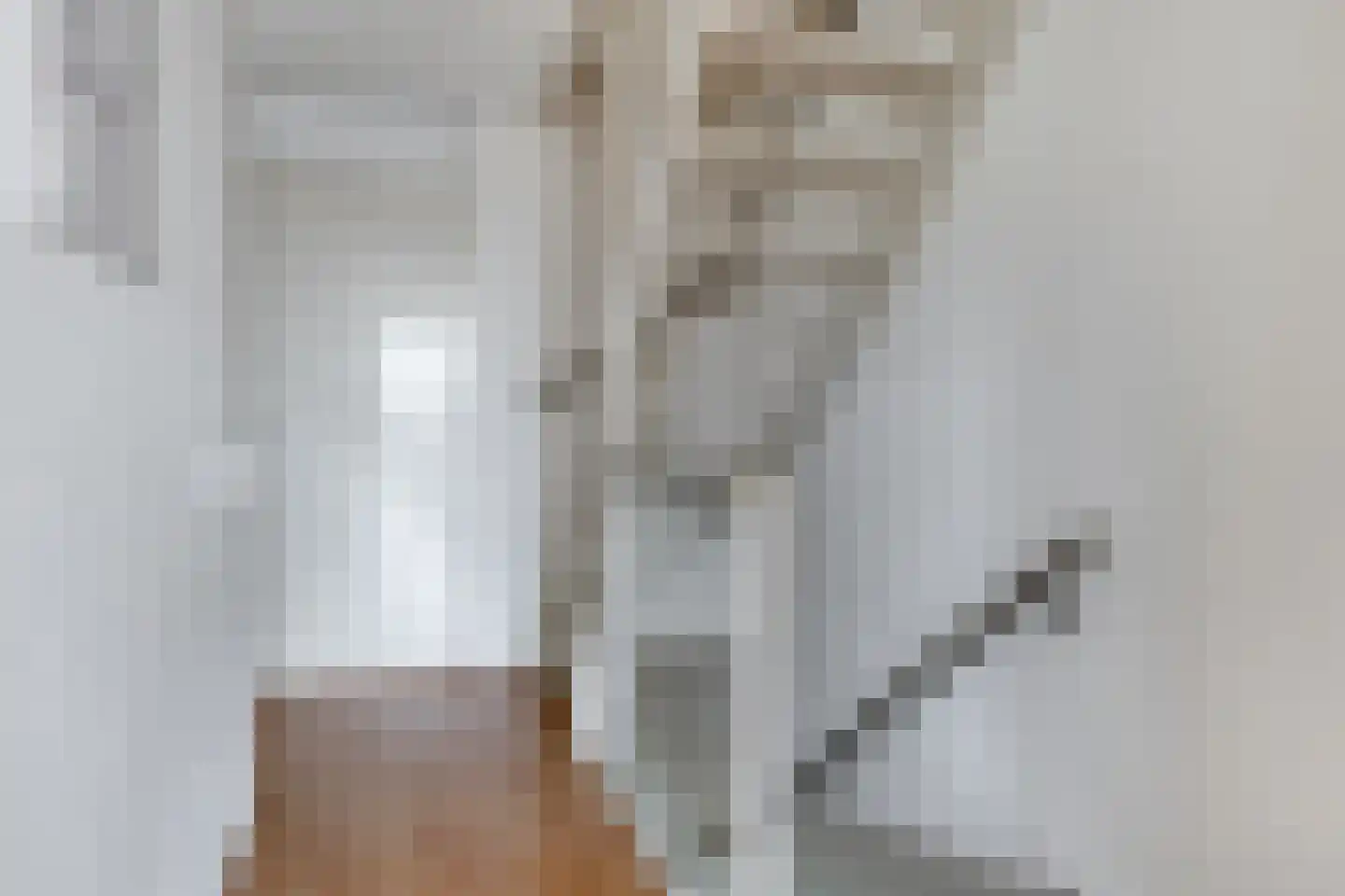 Mississippistraat 30 Purmerend thumbnail 22