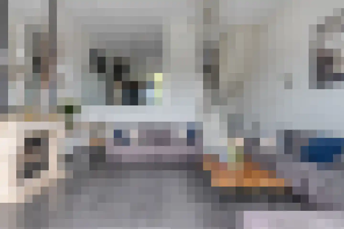 Mississippistraat 30 Purmerend thumbnail 7