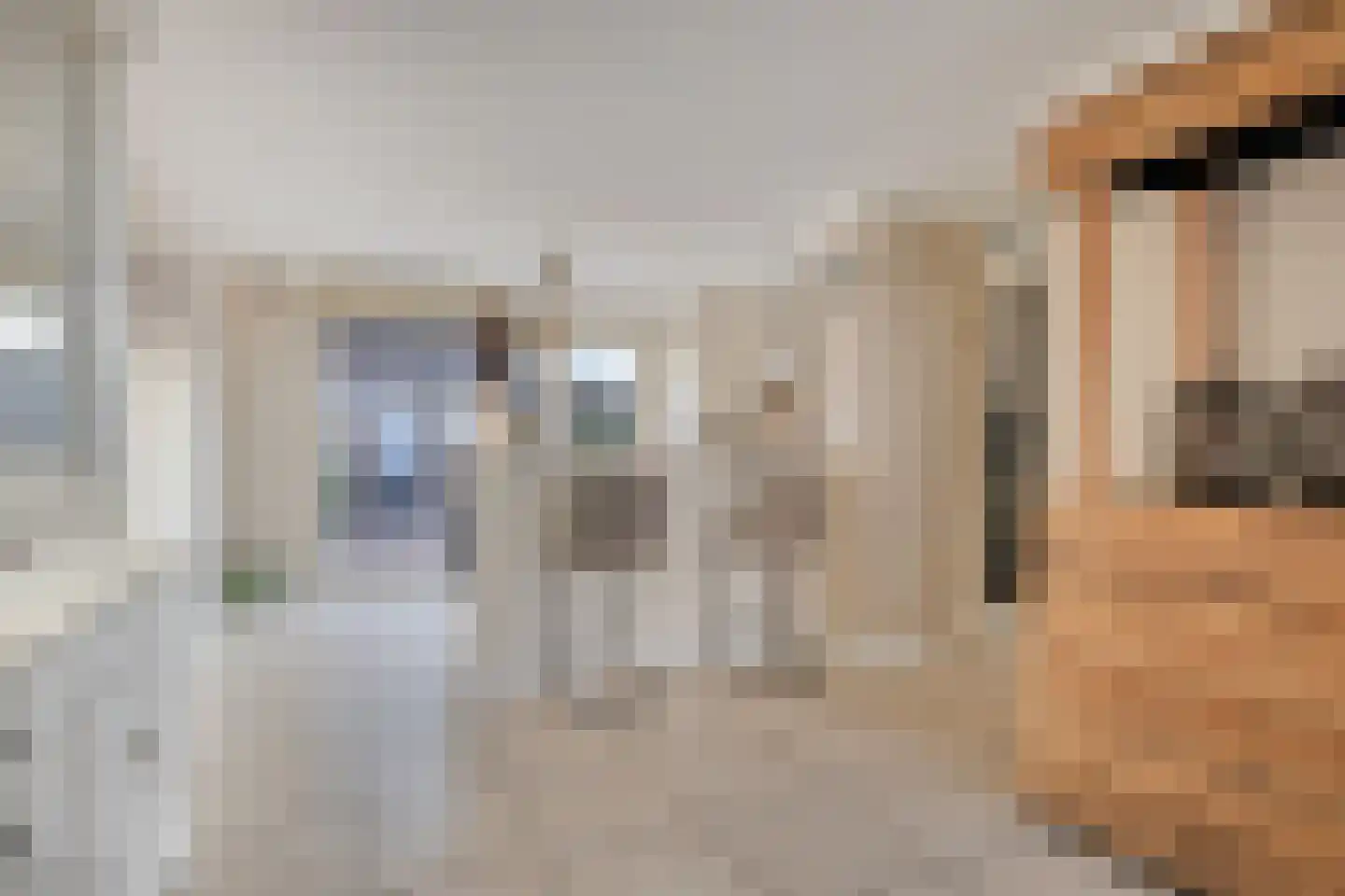 Mississippistraat 31 Purmerend thumbnail 13