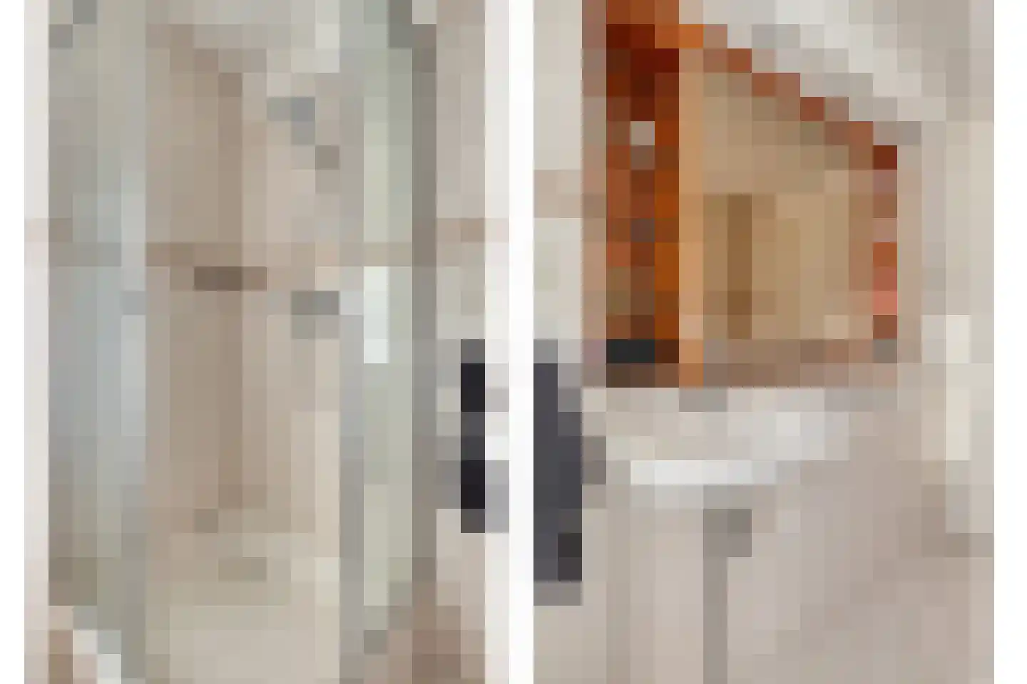 Mississippistraat 31 Purmerend thumbnail 21