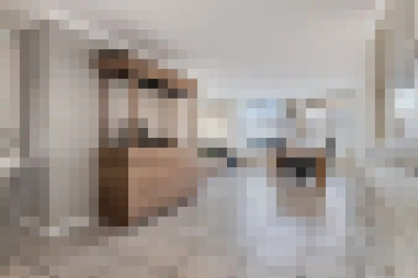 Mississippistraat 31 Purmerend thumbnail 9