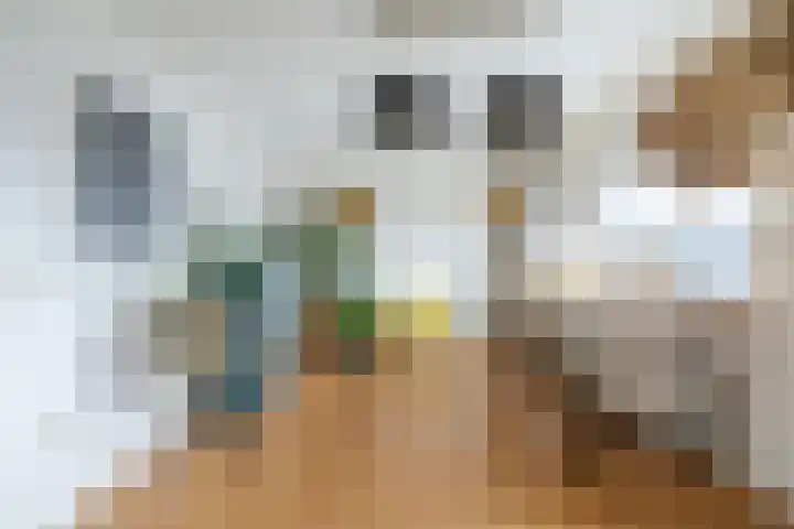 Mississippistraat 46 Purmerend thumbnail 34