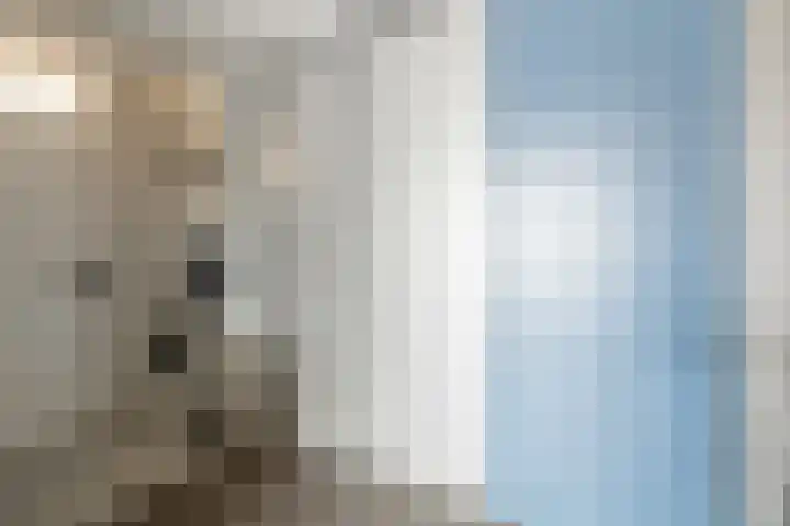 Mississippistraat 46 Purmerend thumbnail 49