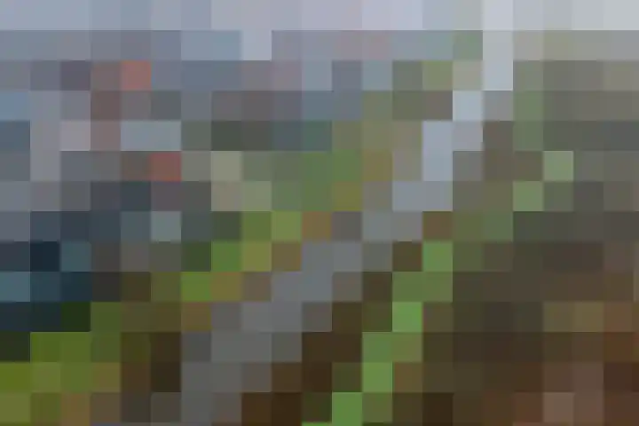 Mississippistraat 46 Purmerend thumbnail 5