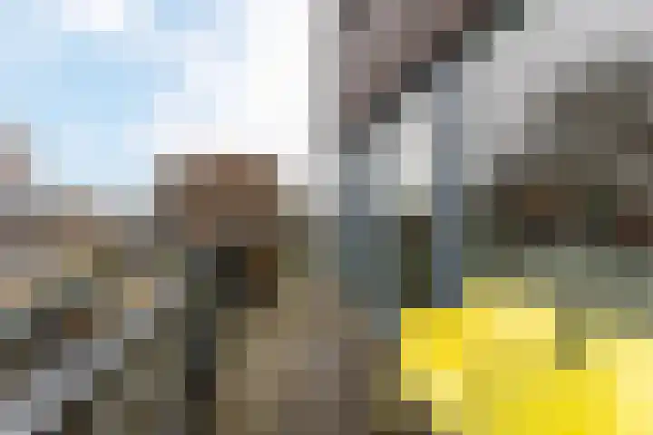 Mississippistraat 46 Purmerend thumbnail 56