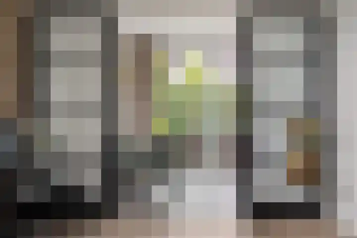 Missouri 3 Nieuwerkerk aan den IJssel thumbnail 11