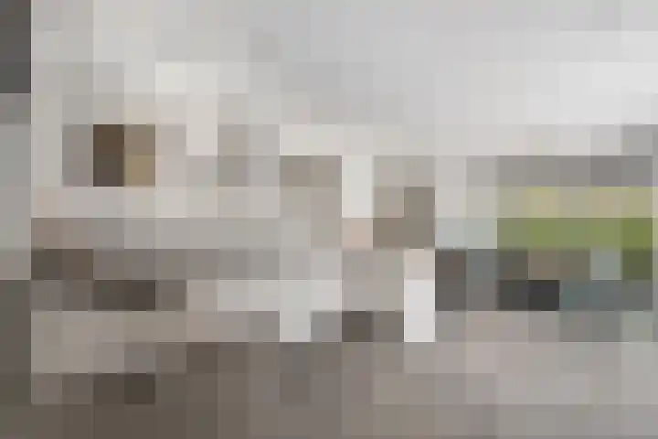 Missouri 3 Nieuwerkerk aan den IJssel thumbnail 13