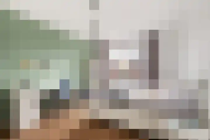 Missouri 3 Nieuwerkerk aan den IJssel thumbnail 26