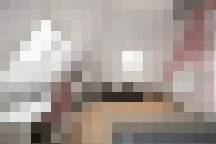 Missouri 3 Nieuwerkerk aan den IJssel thumbnail 34