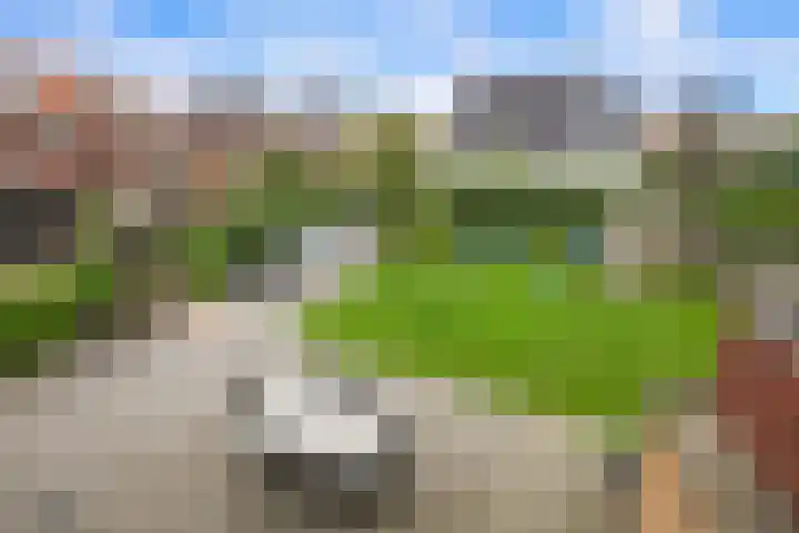Missouri 3 Nieuwerkerk aan den IJssel thumbnail 4