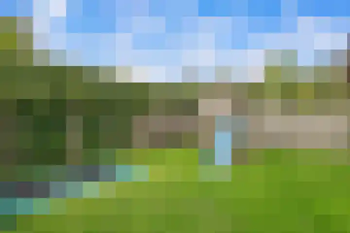 Missouri 3 Nieuwerkerk aan den IJssel thumbnail 46