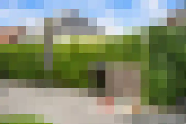 Missouri 3 Nieuwerkerk aan den IJssel thumbnail 48