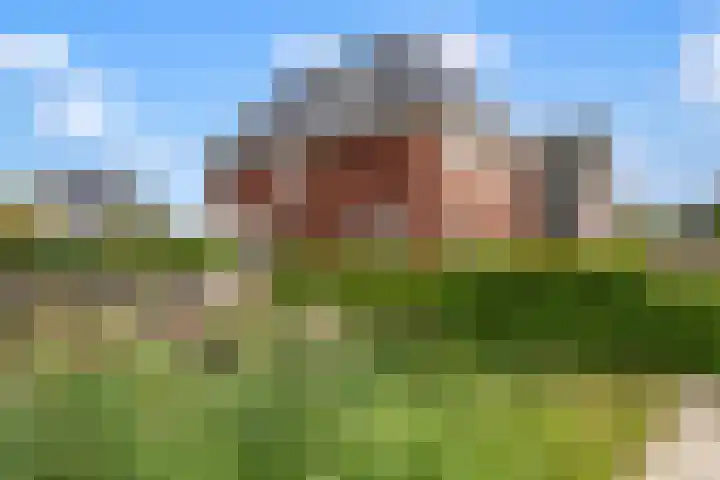 Missouri 3 Nieuwerkerk aan den IJssel thumbnail 52