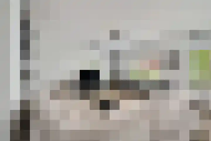 Missouri 3 Nieuwerkerk aan den IJssel thumbnail 7