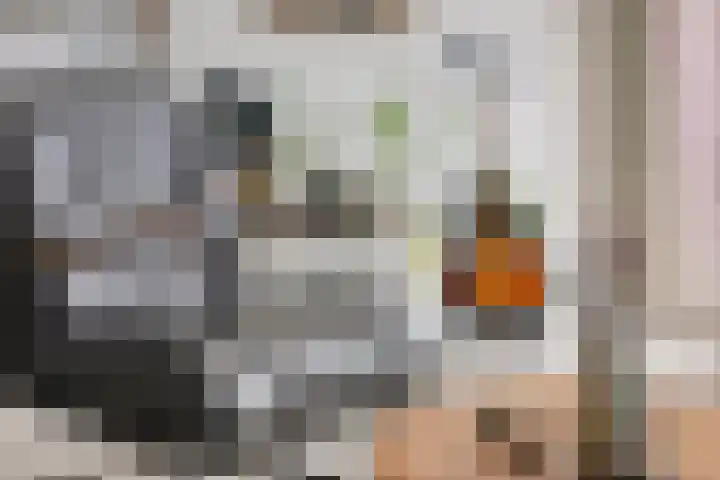 Misterstraat 112 Winterswijk thumbnail 17