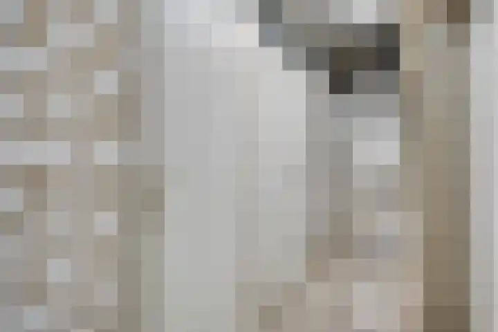 Misterstraat 112 Winterswijk thumbnail 28