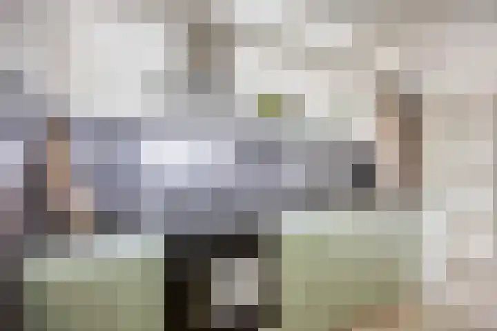 Misterstraat 112 Winterswijk thumbnail 4