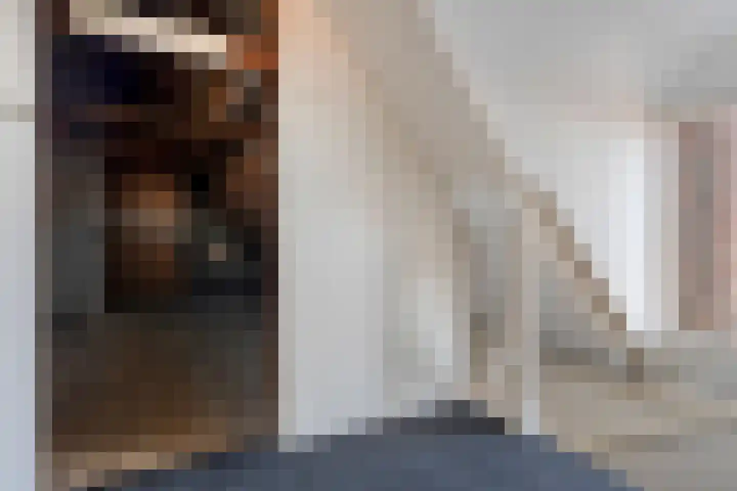 Misterstraat 44 a Winterswijk thumbnail 31