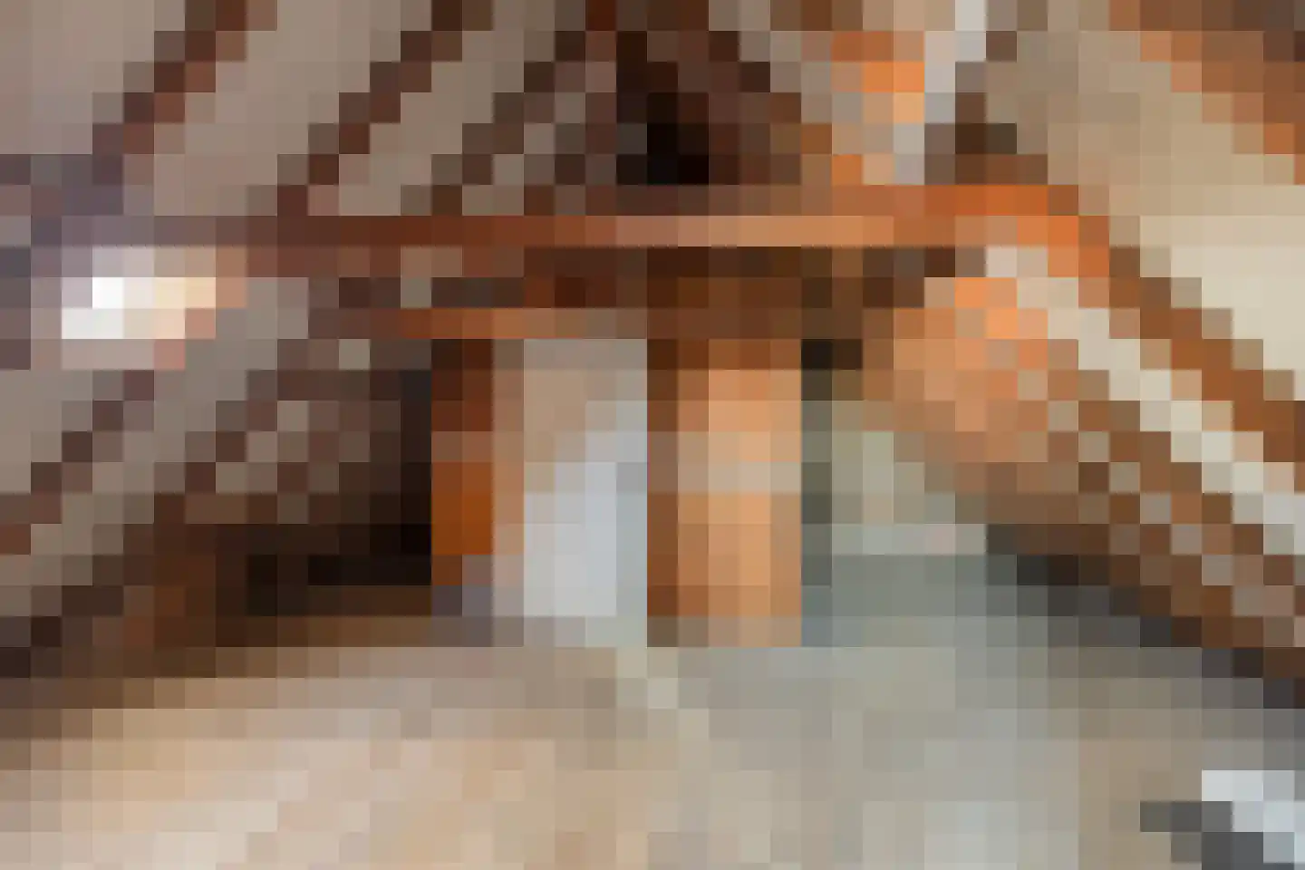 Misterstraat 44 a Winterswijk thumbnail 33