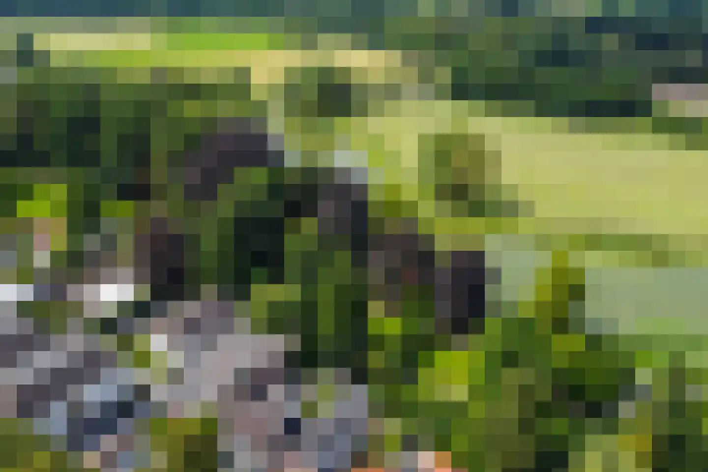 Misterstraat 5 A Bredevoort thumbnail 13