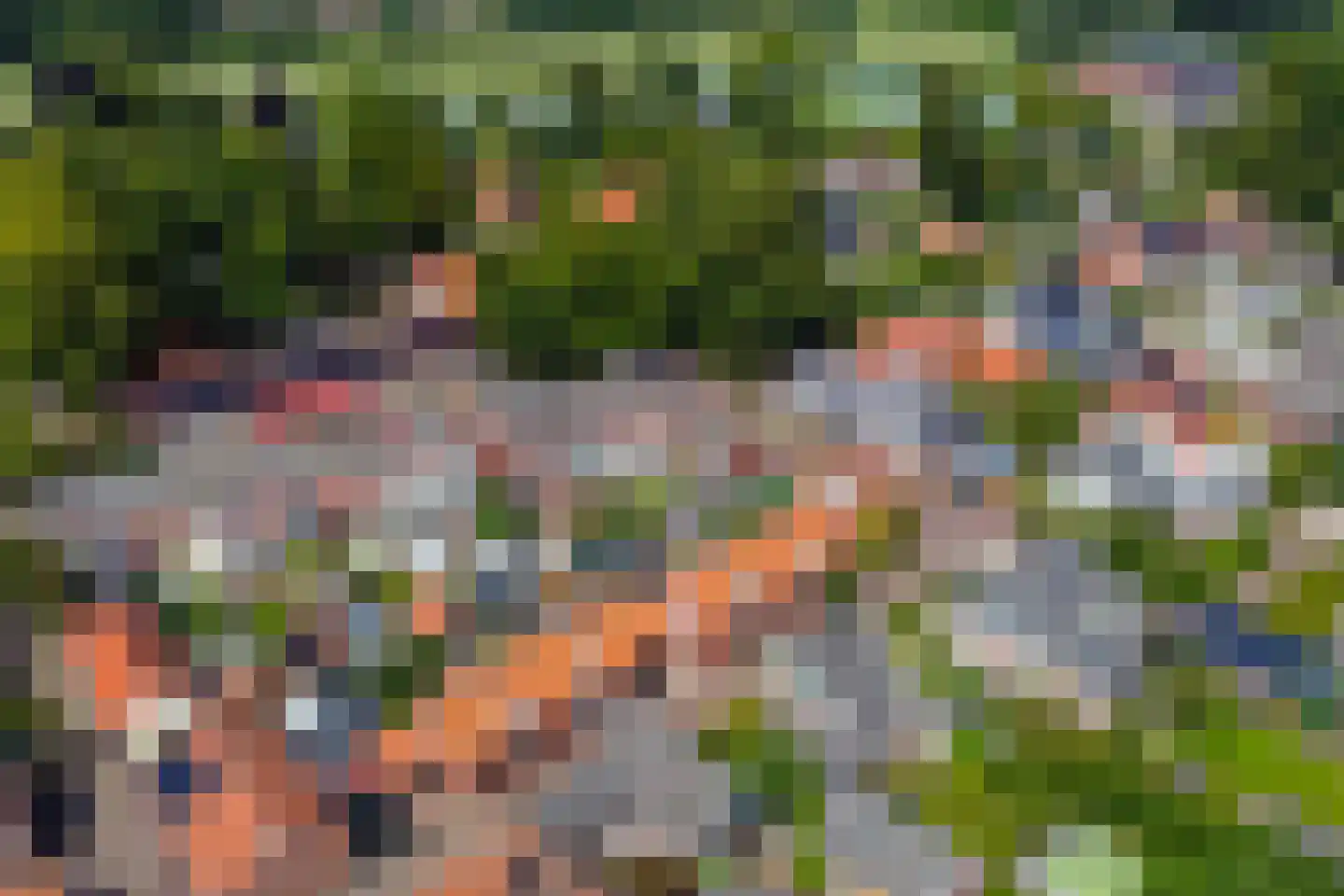 Misterstraat 5 A Bredevoort thumbnail 14