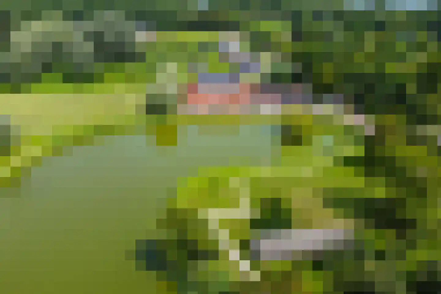 Misterstraat 5 A Bredevoort thumbnail 15