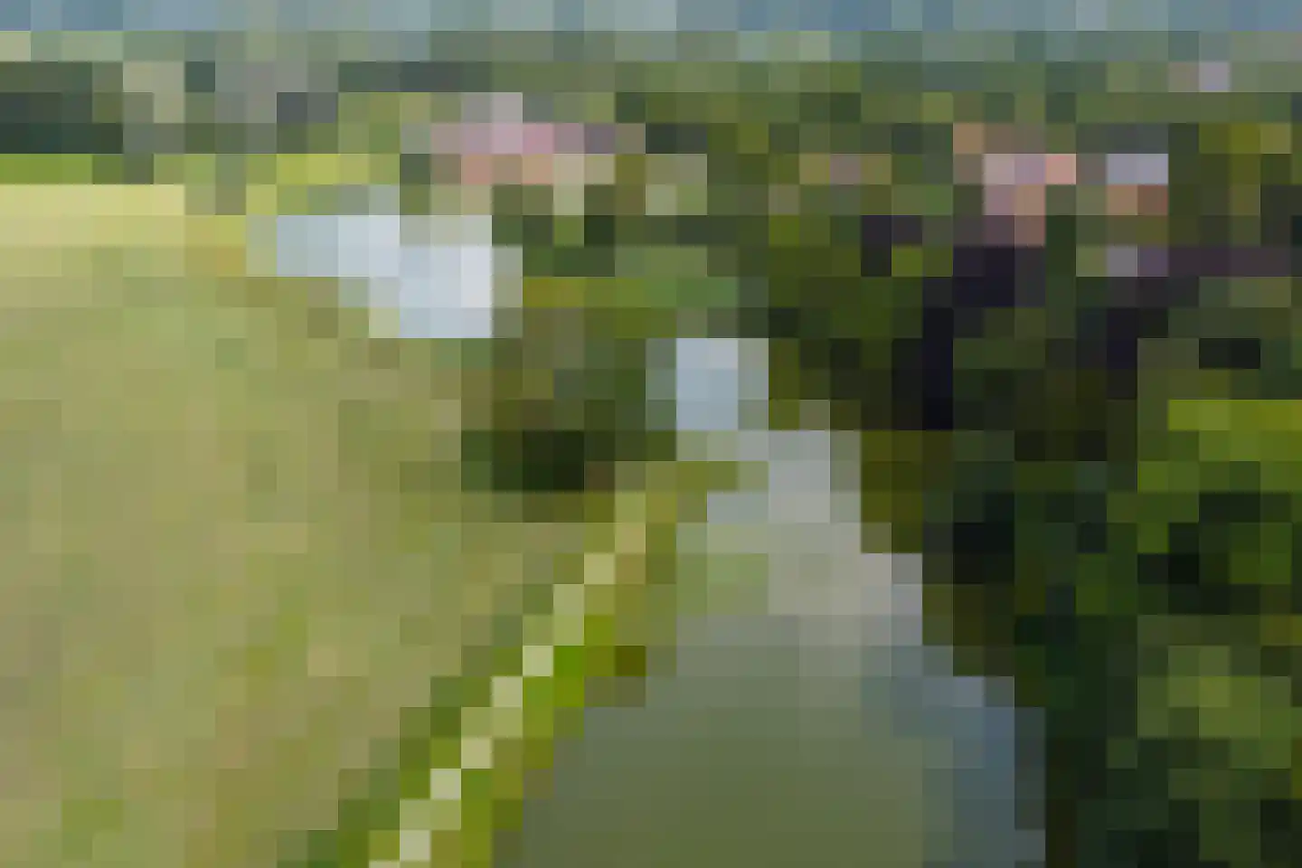 Misterstraat 5 A Bredevoort thumbnail 16
