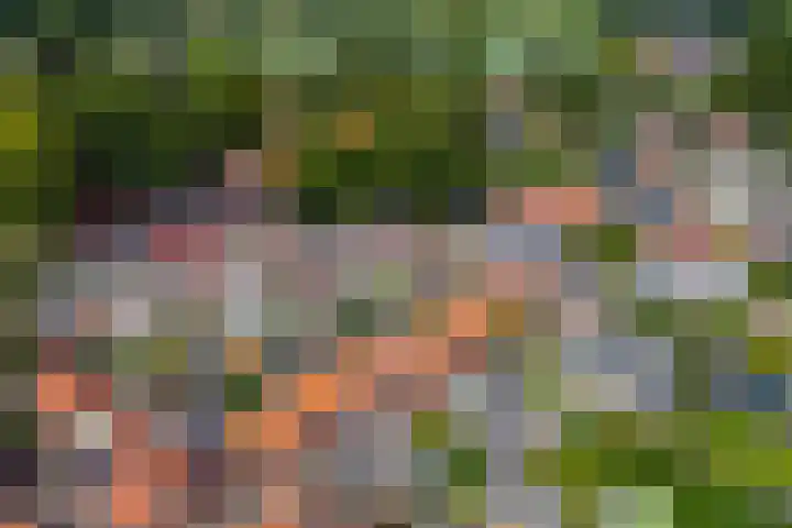Misterstraat 5 Bredevoort thumbnail 11