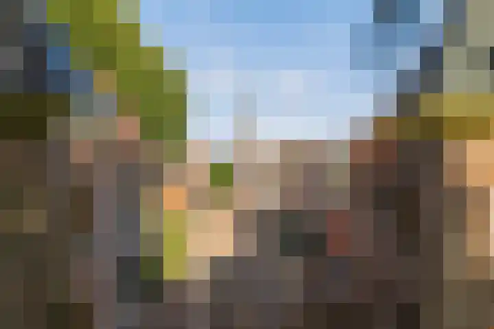 Misterstraat 5 Bredevoort thumbnail 14