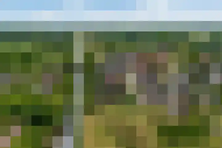 Misterstraat 5 Bredevoort thumbnail 7