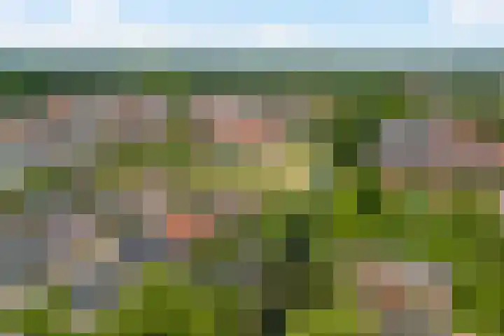 Misterstraat 5 Bredevoort thumbnail 8