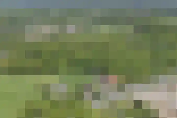 Misterweg 166 Winterswijk thumbnail 37