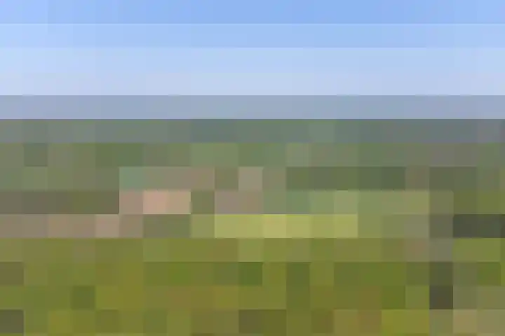 Misterweg 166 Winterswijk thumbnail 38