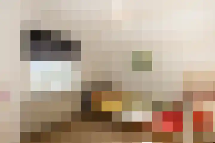 Misterweg 200 Winterswijk thumbnail 24